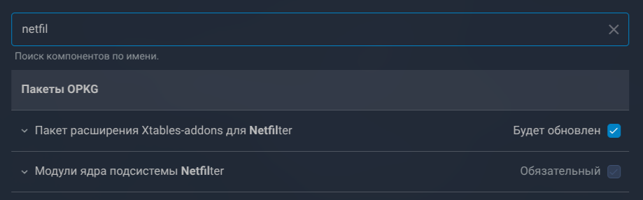 Установка компонента Netfilter в веб-интерфейсе роутера